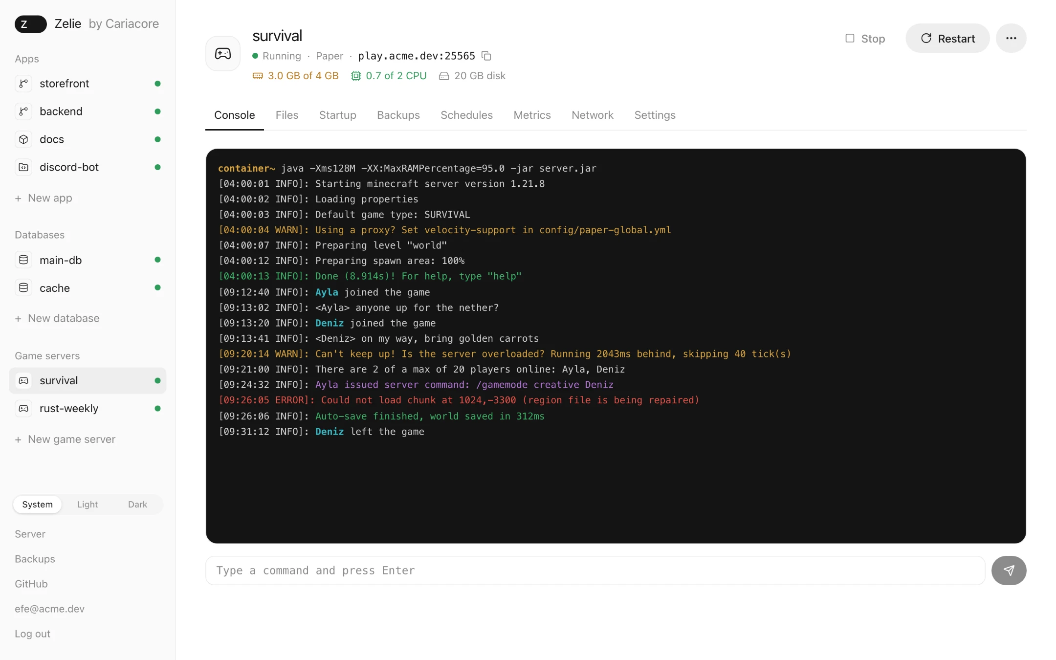 A Minecraft server’s live console in Zelie, with coloured log lines